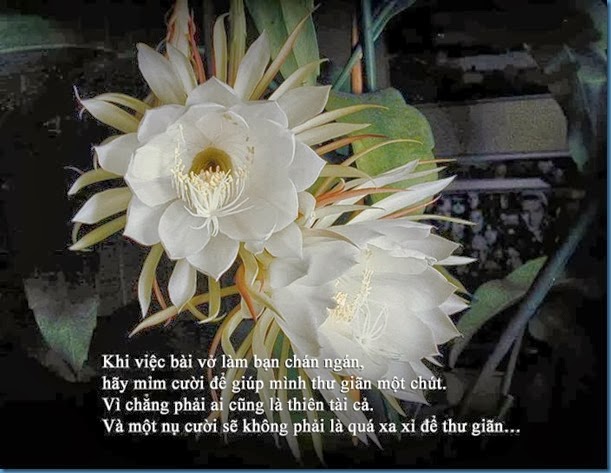 clip_image007