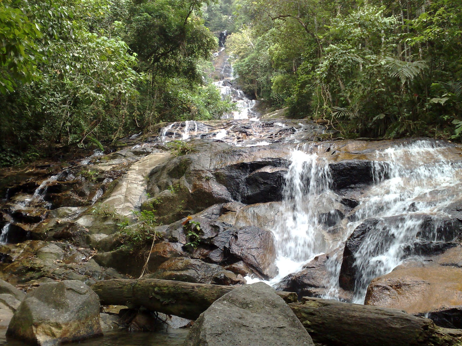 Mendaki di Hutan Lipur Kanching, Rawang - Viral Cinta