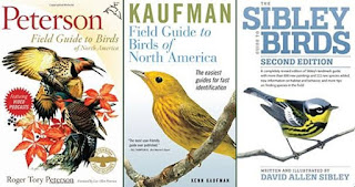 For bird watching- field guide is an essential