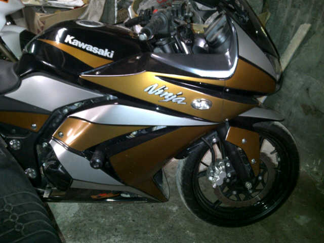 Ninja 250R airbrush list gold & white title=