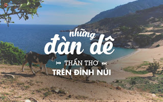 Những trải nghiệm tuyệt vời đang đợi bạn ở Ninh Thuận