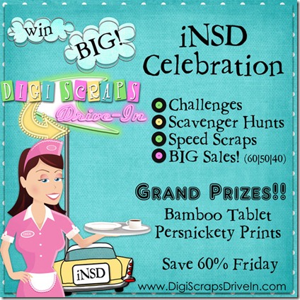 iNSD2011