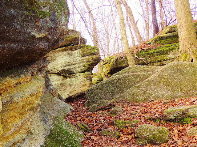 Nelson Ledges Rocks Trees Geology