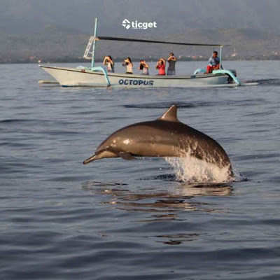 dolphin-watching-tour-lovina-bali-ticket-only