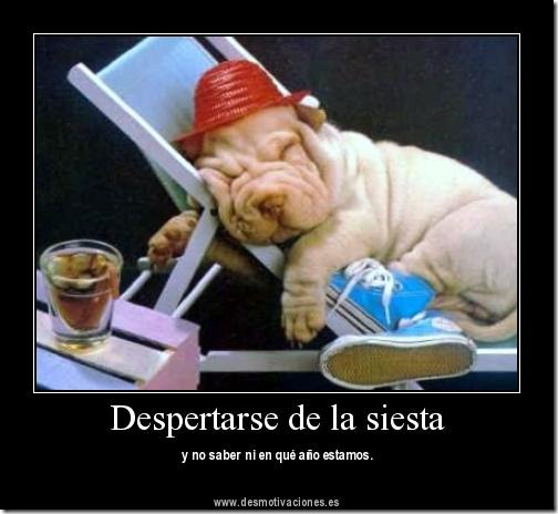 desmotivadores - despertar  (36)
