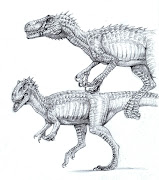 . full of my drawings. I'll give more details when I've worked it out. (allosaurus)