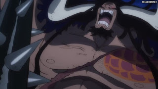 ワンピース アニメ 1064話 カイドウ KAIDO 酒龍八卦 しゅろんはっけ | ONE PIECE Episode 1064