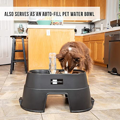Elevated dog food dish for dogs of all sizes