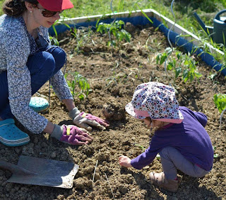 activité potager assistante maternelle 31