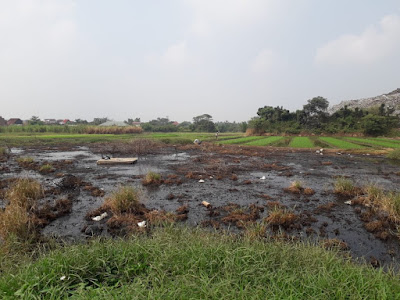 Sampah TPA Rawa Kucing Longsor, Petani Sekitar Alami Kerugian Puluhan Juta