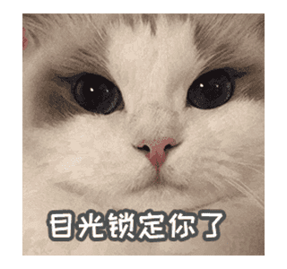 Line クリエイターズスタンプ ラグドール Ragdoll Example With Gif Animation Line クリエイターズスタンプ ラグドール Ragdoll Example With Gif Animation