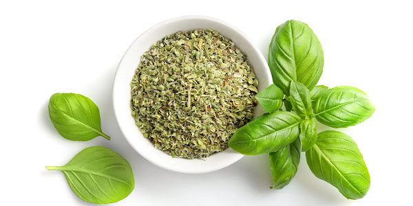 These are the Benefits of Oregano Spices for Body Health