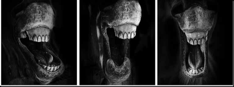 ...mio Dio che ridere!!!