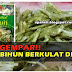 Bihun Cap Jasmine Berkulat Yang Dibeli di Giant (3 Gambar)