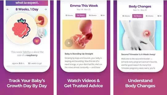 Aplikasi Kehamilan Gratis Terbaik di Android dan iOS-1