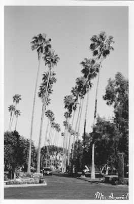 Hollywood Forever, Los Angeles, CA, 25-Mar-05