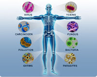 Bağışıklık Sistemi, Mikrop, Virüs, Bakteri, Toksin, Mantar