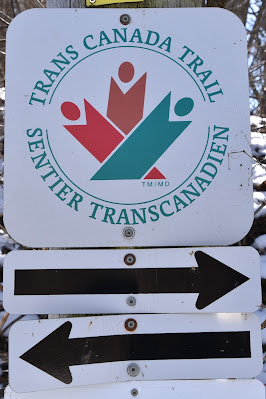 Come Walk With Us Trans Canada Trail.