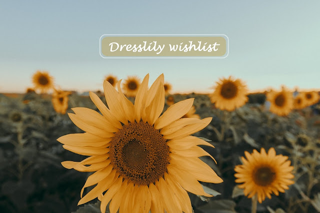 dresslily wishlist, višlist, wish lista, wish list, fashion, suradnja, collaboration, blogger, instablogger