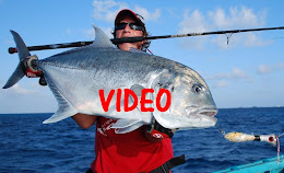 Gt Fighting Video