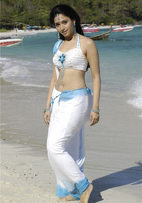 South Indian Tamil actress in white sari shows sexy naval