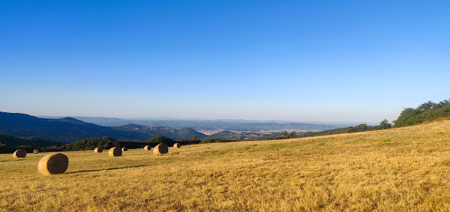 Paesaggio sulla via della Vetta Le Croci