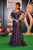 Sonal Chauhan photos from IIFA Utsavam-thumbnail-8