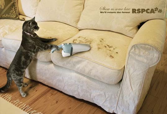 Funny Animal Ads