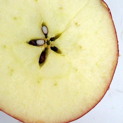 Cutting Apples to See the Star ⋆ Health, Home, & Happiness
