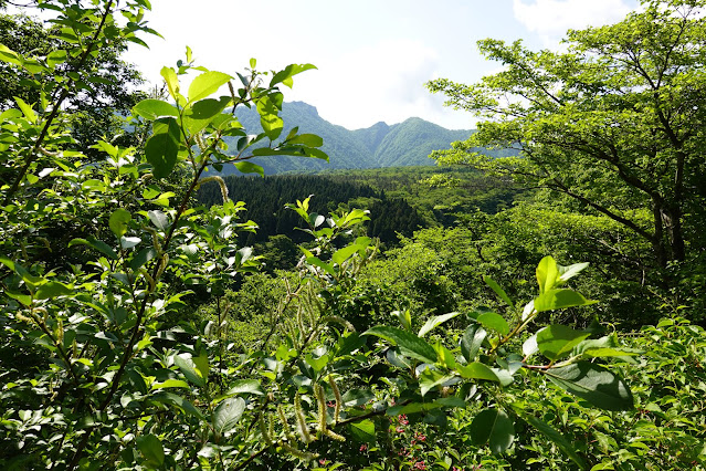 鳥取県西伯郡大山町豊房　香取の山道からの眺め