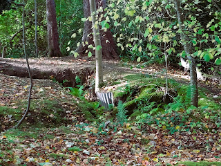 A view of the remains of one of the trenches - some corrugated iron is at one side and the ground is covered in the fallen leaves of autumn.  Photograph by Kevin Nosferatu for the Skulferatu Project.