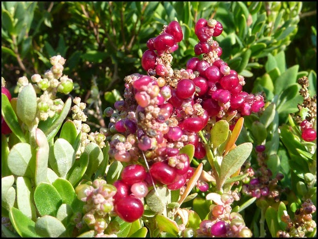 P1230050