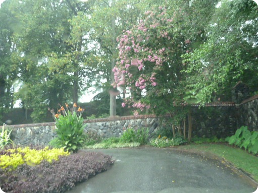 Biltmore Estates 111