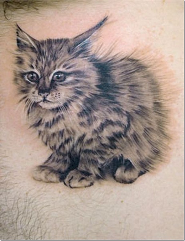 Tatuagem de gatos (7)