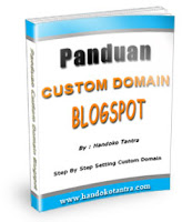 panduancustomdomain