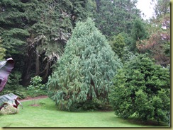 DSCF2171