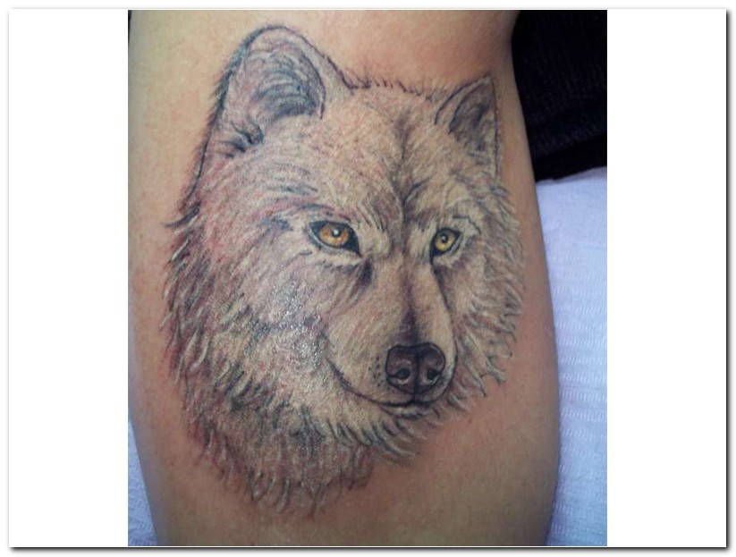 allentryupdate24: Wolf Tattoo Designs