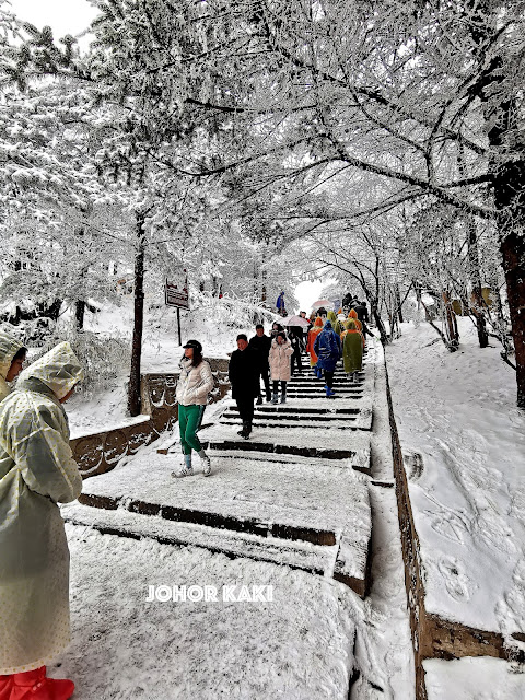 Mount Emei Shan & Golden Buddha - Sichuan's Sacred Mountain in Winter 峨眉山