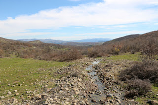 Beautiful valley with the stream running down the centre