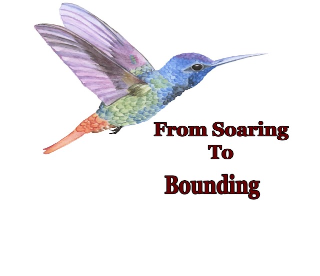 From Soaring To Bounding