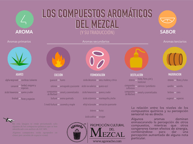 La formación de los compuestos aromáticos del Mezcal