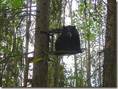 beardeerstand