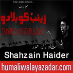 http://www.humaliwalayazadar.com/2017/10/shahzain-haider-nohay-2018.html