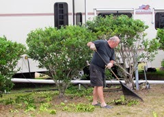 1403069 Mar 11 Terry Working On Hedge