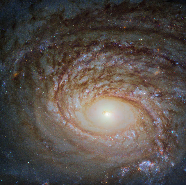 ngc-772-galaksi-spiral-tanpa-batang-mirip-bima-sakti-informasi-astronomi