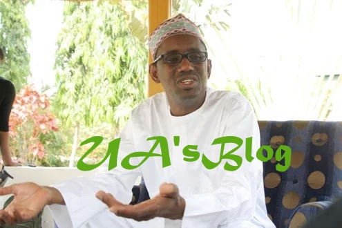 Nothing wrong in Niger Republic govs attending Buhari’s Campaign – Ribadu