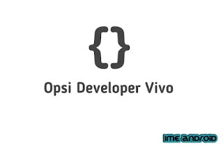 Cara mengaktifkan opsi developer vivo