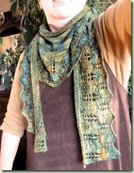 ManyMosquesScarf