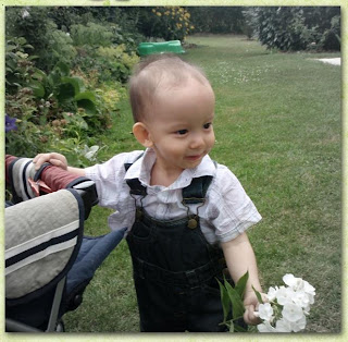 Baby's new dress - trouser and shirt in our garden