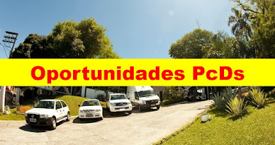 Grupo SSI anuncia oportunidades para PcDs em diversos setores